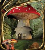 Mushroom Magic Forest