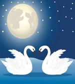 Moonlight Sky at Night Art
