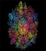 Design Graphic