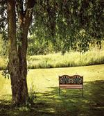 Wooden Bench at Park
