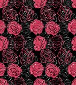 Ombre Rose Blooom Art