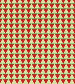 Triangle Watermelon Slices