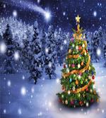 Elf Noel Theme Winter