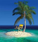 Chair Under a Palm Tree