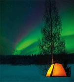 Camping Tent Field