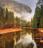 River in Morning View artwork