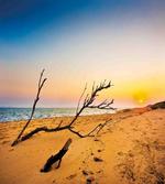 Sunrise at a Sea Shore