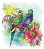 Flowers Parrots Love