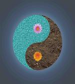 Yin Yang Flower Teal Brown