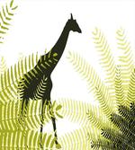 National Park Giraffe