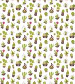 Garden Plants Succulents