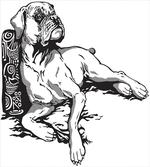 Animal Tribal Elements