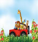 Cartoon Wildlife Animals