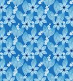 Top View Flower Petals Scene