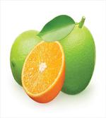 Lime Orange Design