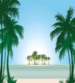 Exotic Palm Tree Beach