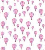 Vintage Air Balloons artwork