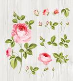 Vintage Rose Petals Leaf artwork