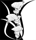 Crevalle Flower
