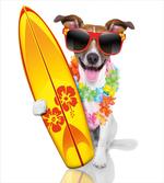 Surf Dog Glasses artwork