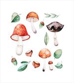 Fall Season Mushroom