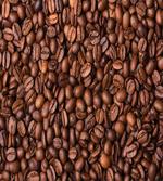 Roasted Coffee Grains