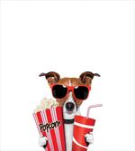 Funny Dog Snacks