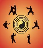 Yin Yang and Karate Poses