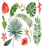 Lush Jungle Rainforest