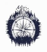 Compass Night Forest