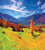 Alpine Mountain Design