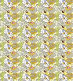 Spring and Summer Flowers