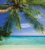 Paradise View Maldives