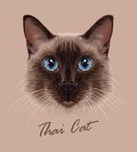 Domestic Animal Siamese Cat