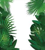 Tropical Exotic Palms