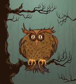 Tired Owl on Oak Tree