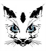 Big Cat Face Pet Sketchy