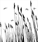 Wheat Field Autumn