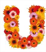 Warm Season Plant U