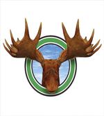 Northern Fauna Deer