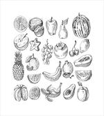 Hand Drawn Berries Food
