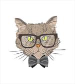 Urban Style Hipster Cat