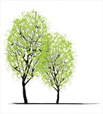 Warm Season Tree