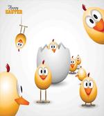 Chicks Funny Cartoon