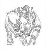 Graphic Animal from Africa