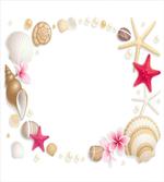 Seashells Flower Star