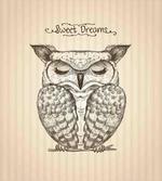 Sleeping Owl Dreams