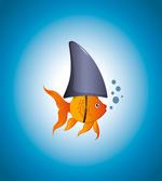 Little Fish Wearing Fin