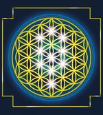 Flower of Life Spirals