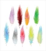 Bohemian Colorful Fluff artwork